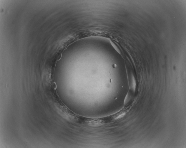 X0000083610615200702121117