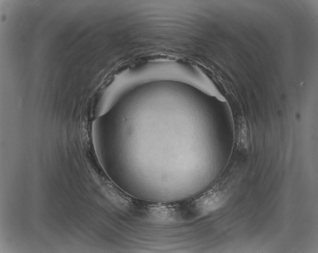 X0000083610616200702121117