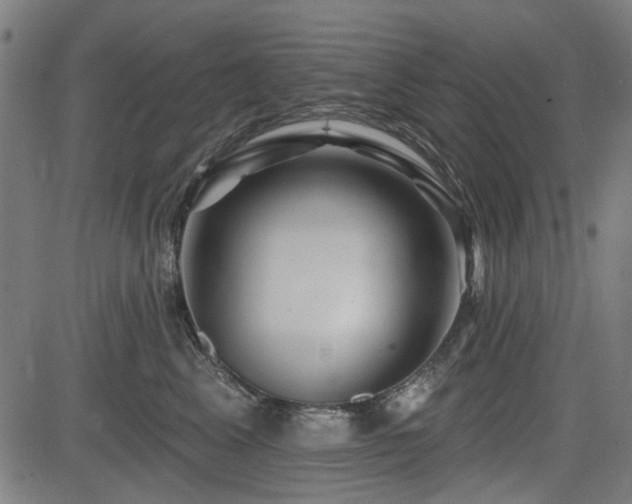 X0000083610617200702121117