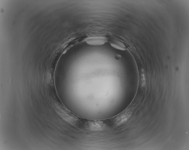 X0000083610618200702121117