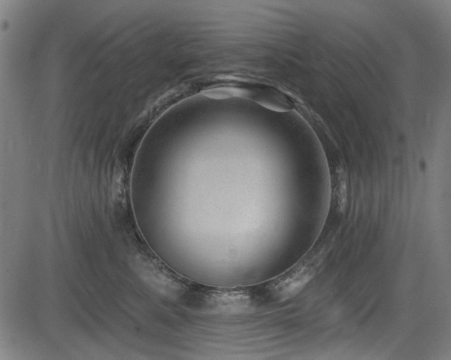 X0000083610619200702121117