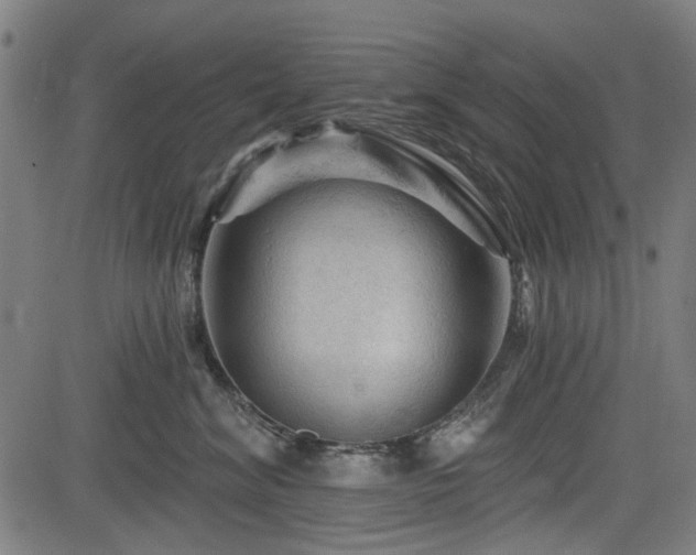 X0000083610620200702121117