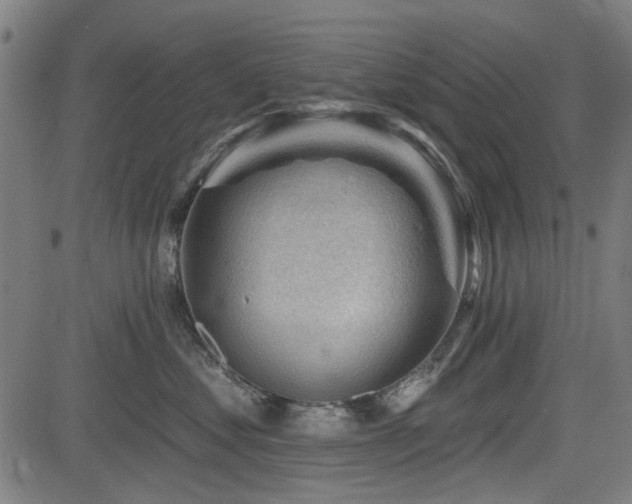 X0000083610621200702121117