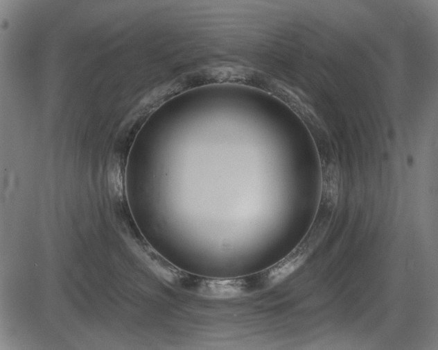 X0000083610622200702121117