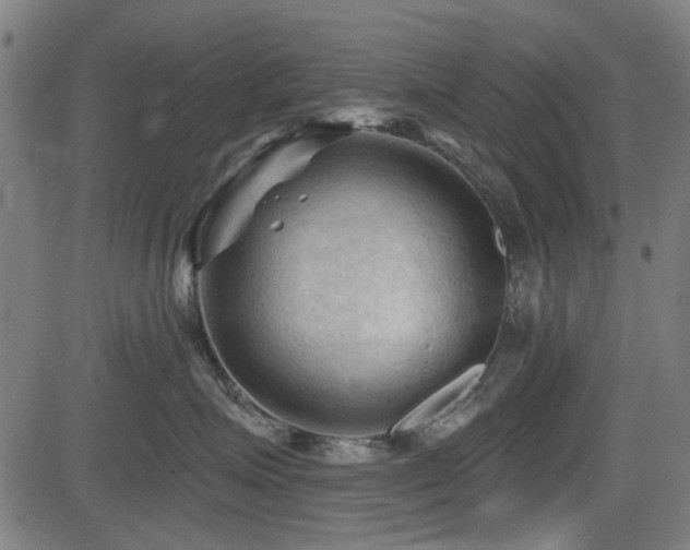 X0000083610623200702121117