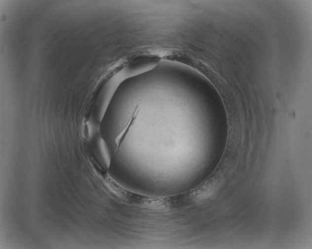 X0000083610624200702121117