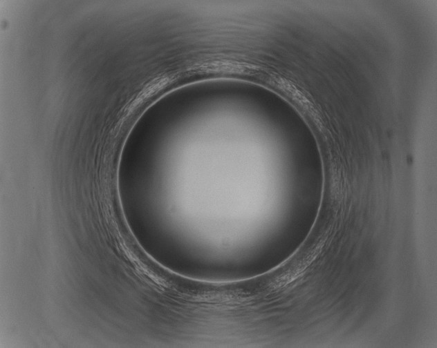 X0000083610625200702121116