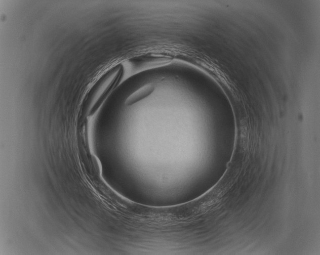 X0000083610626200702121116