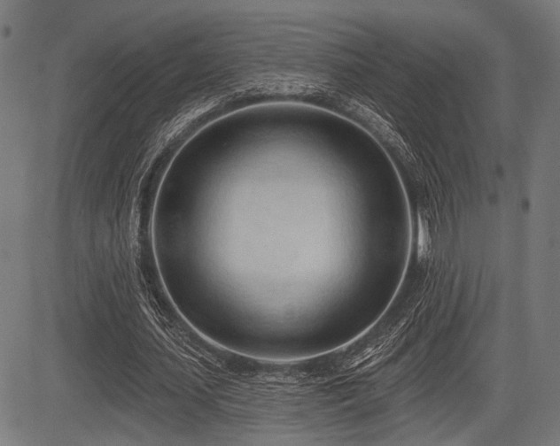 X0000083610627200702121116