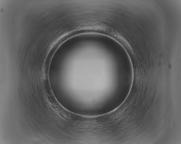 X0000083610628200702121116