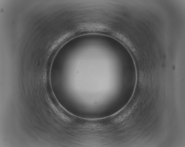 X0000083610629200702121116