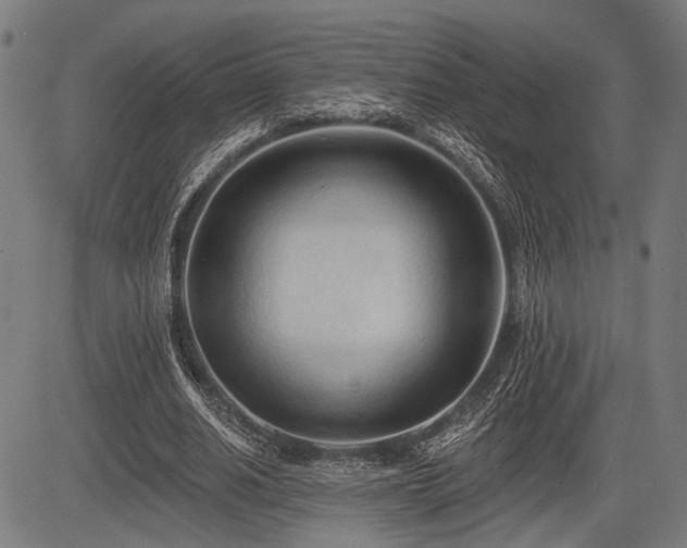 X0000083610630200702121116