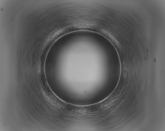 X0000083610631200702121116