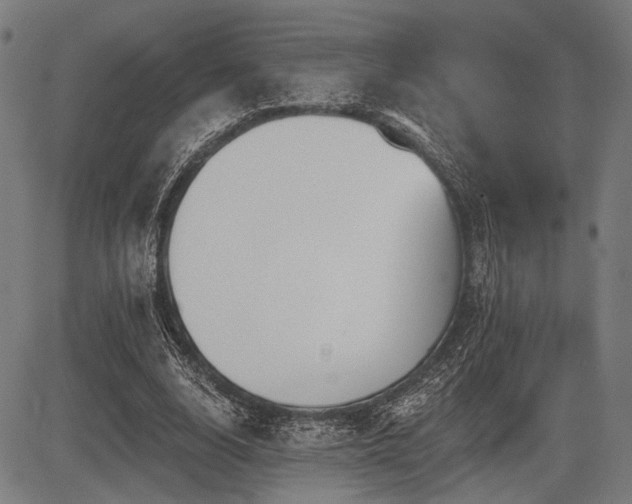 X0000083610632200702121116