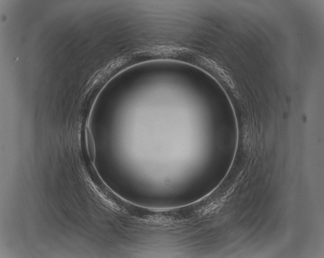 X0000083610633200702121116