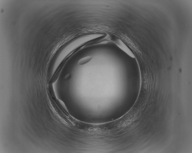 X0000083610634200702121116