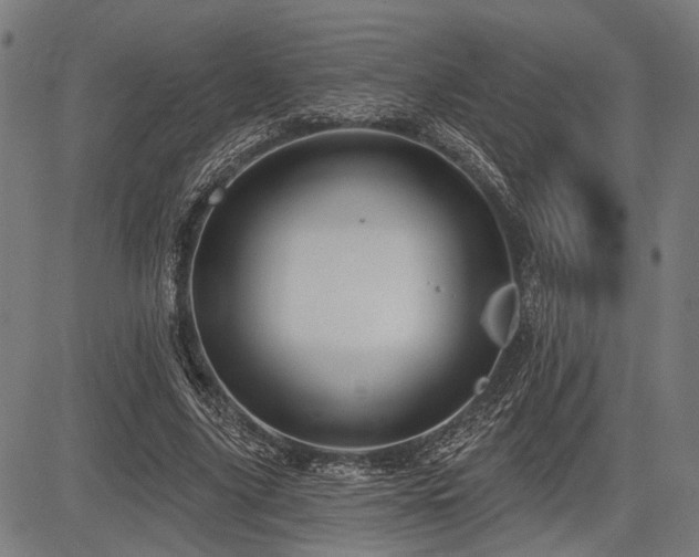 X0000083610635200702121116