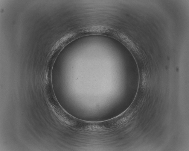 X0000083610636200702121116