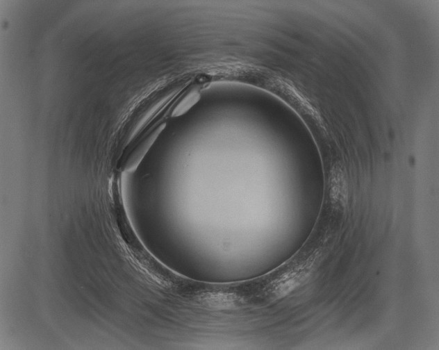 X0000083610637200702121116