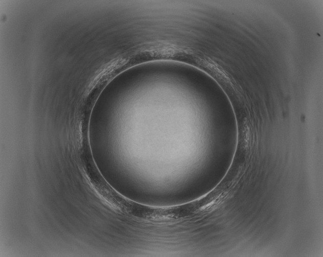 X0000083610638200702121116