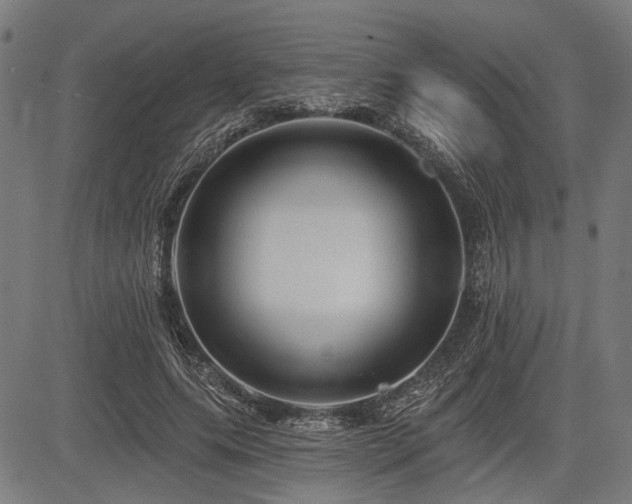 X0000083610639200702121116