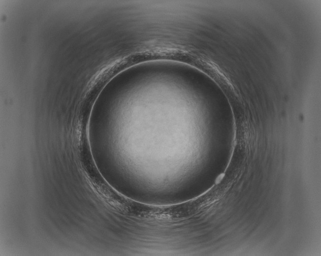 X0000083610640200702121116