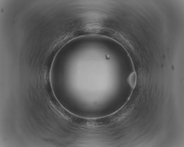 X0000083610641200702121116