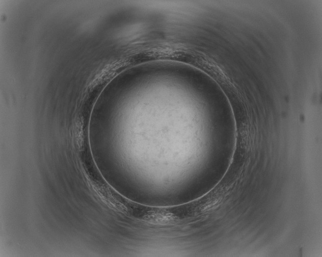 X0000083610642200702121116