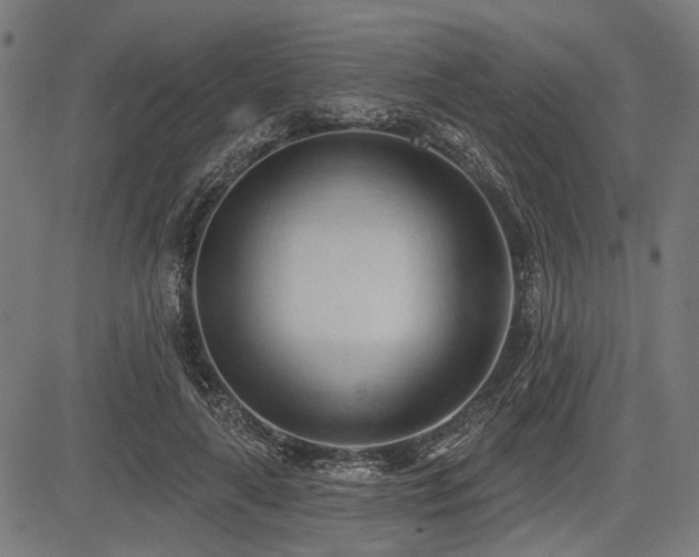 X0000083610643200702121116