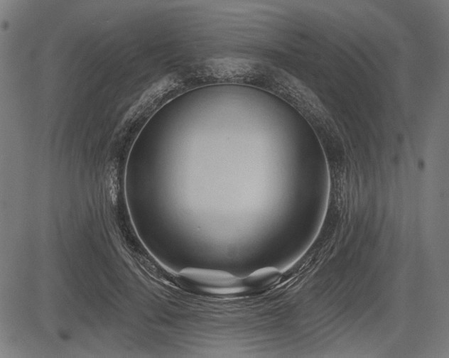 X0000083610644200702121116