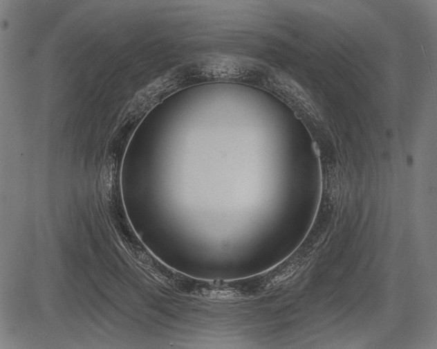 X0000083610645200702121116