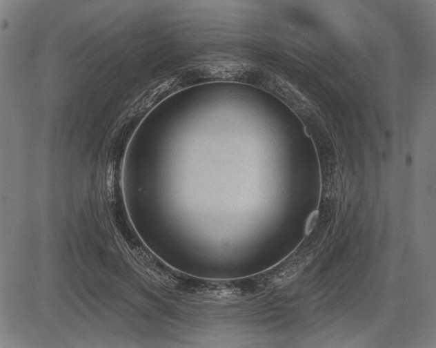 X0000083610646200702121116