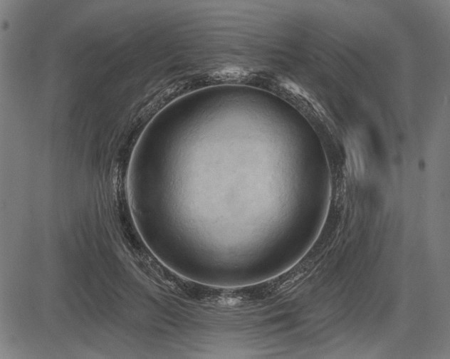 X0000083610647200702121116