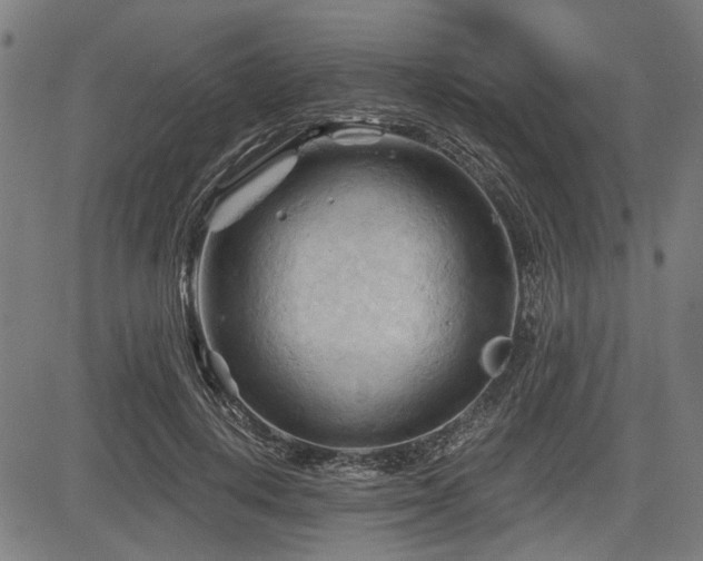 X0000083610648200702121116