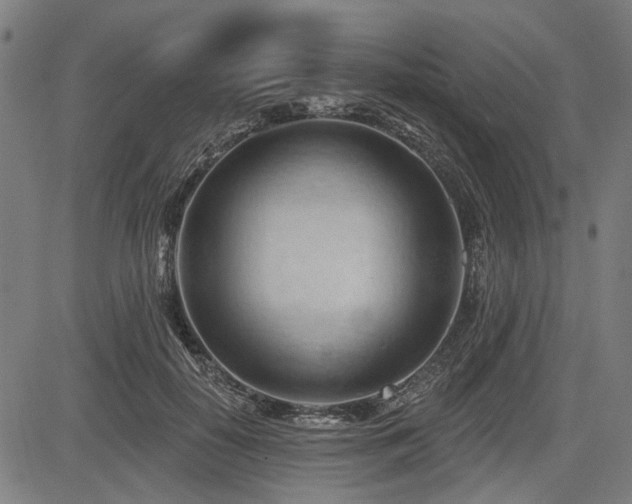 X0000083610650200702121116