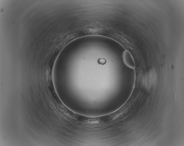 X0000083610651200702121116