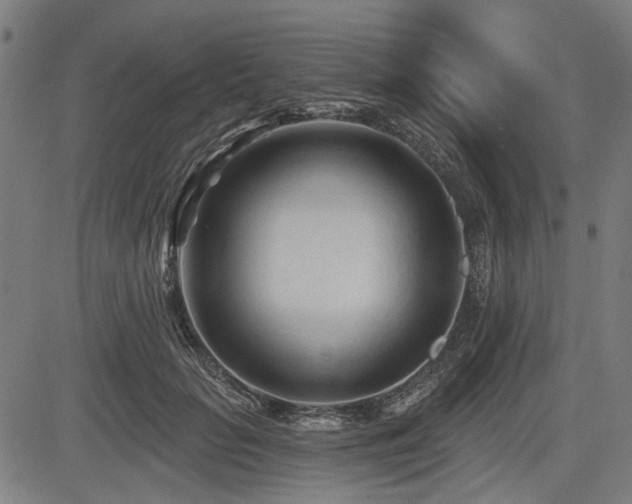 X0000083610653200702121116