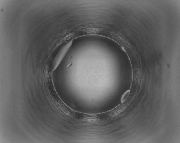 X0000083610655200702121116