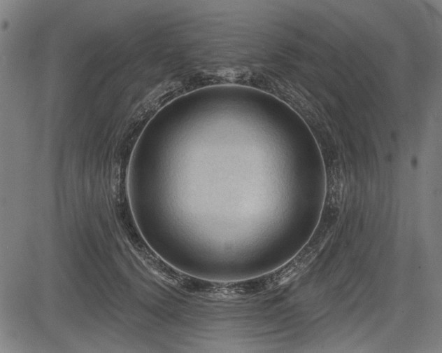 X0000083610656200702121116