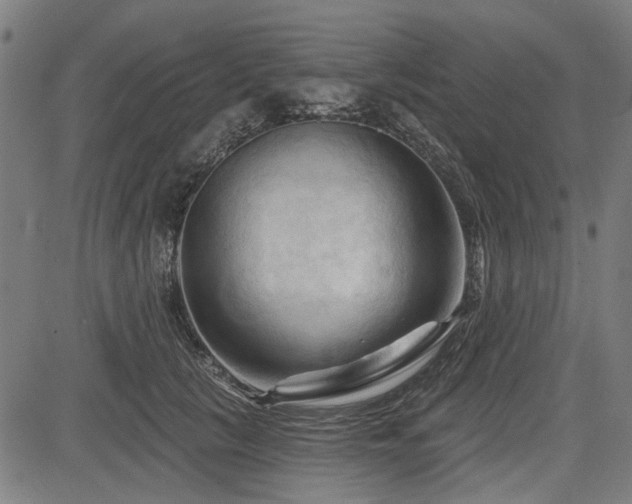 X0000083610657200702121116