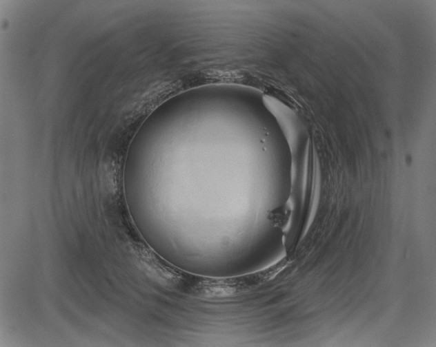 X0000083610658200702121116