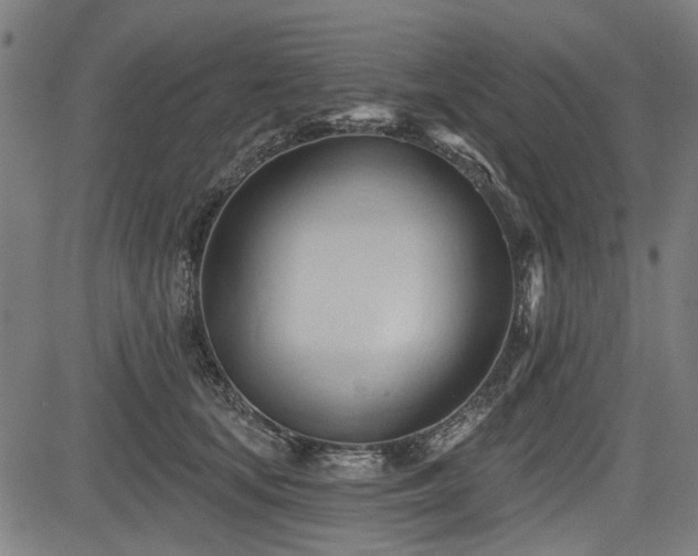 X0000083610659200702121116