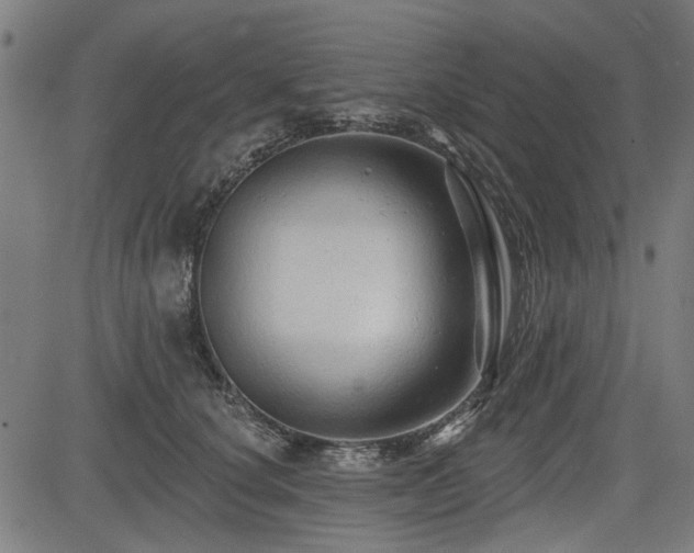 X0000083610660200702121116