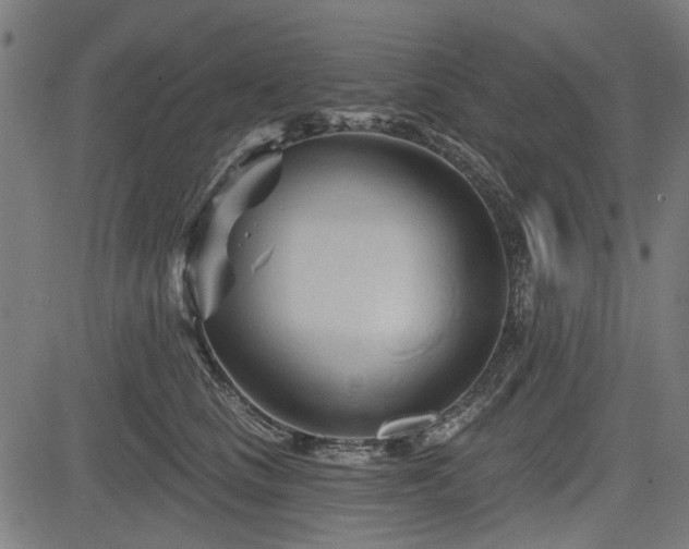 X0000083610661200702121116