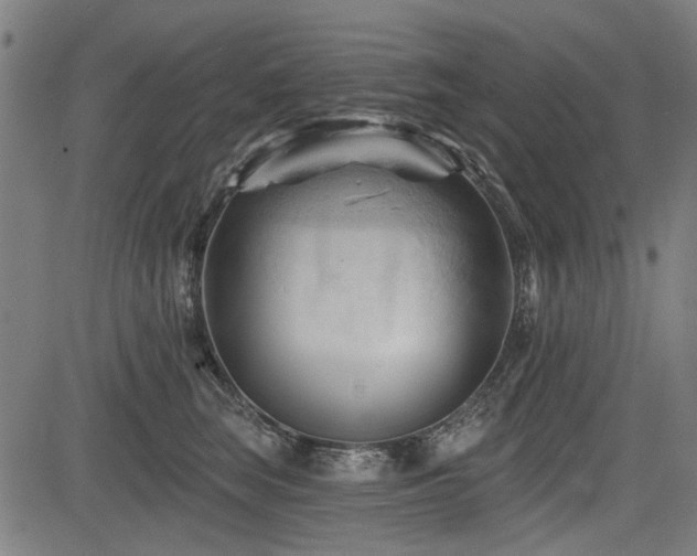 X0000083610663200702121116