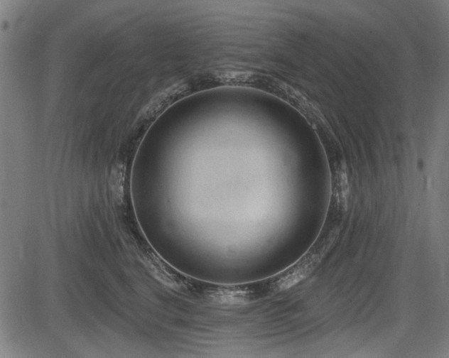 X0000083610664200702121116