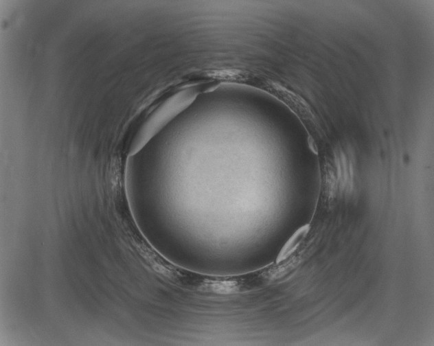 X0000083610665200702121116