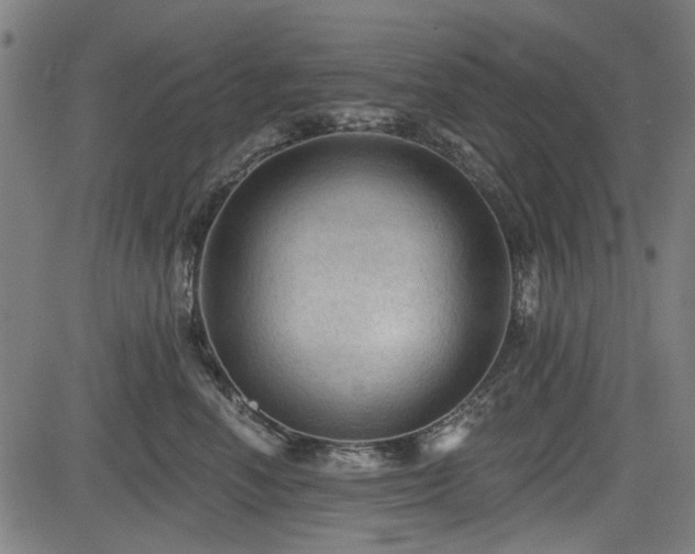 X0000083610666200702121116