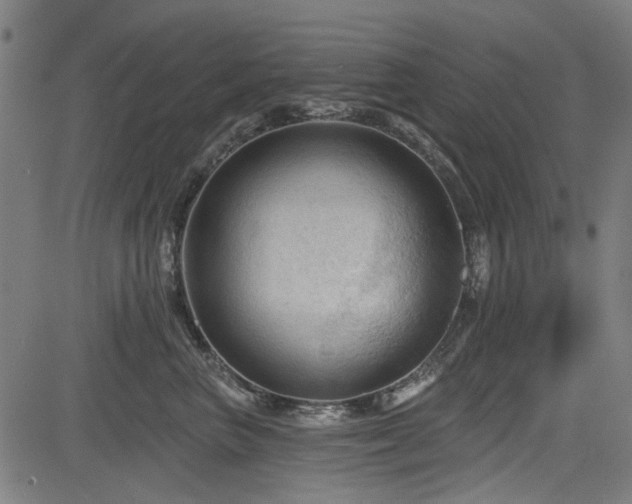 X0000083610667200702121116