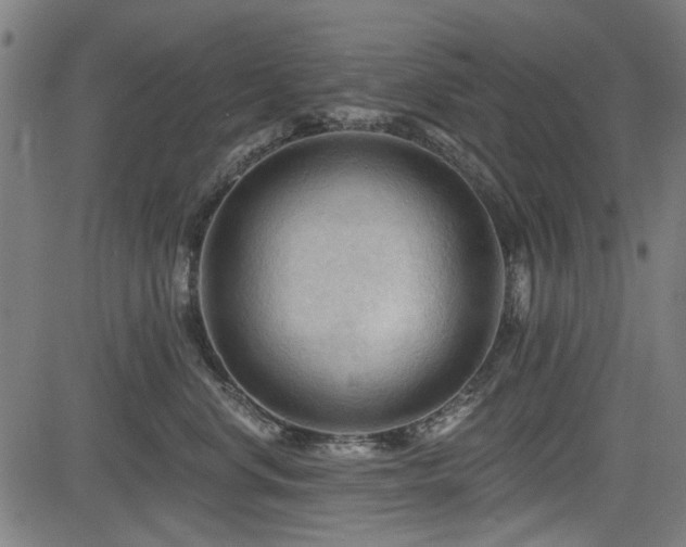 X0000083610668200702121117